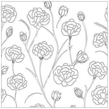 Carnation Flower illustration pattern outline sketch Stock Illustration