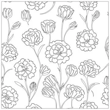 Carnation Flower illustration pattern outline sketch Stock Illustration