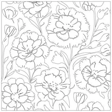 Carnation Flower illustration pattern outline sketch Stock Illustration