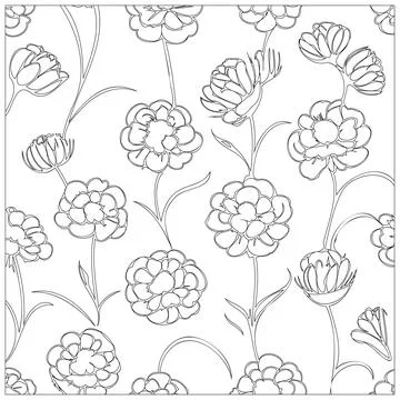 Carnation Flower illustration pattern outline sketch Stock Illustration