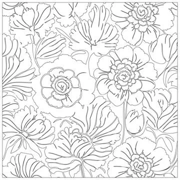 Carnation Flower illustration pattern outline sketch Stock Illustration