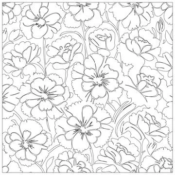Carnation Flower illustration pattern outline sketch Stock Illustration