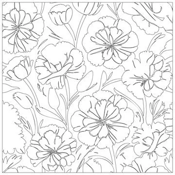Carnation Flower illustration pattern outline sketch Stock Illustration