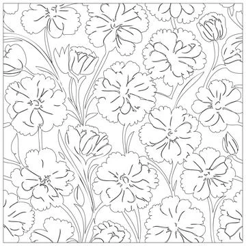 Carnation Flower illustration pattern outline sketch Stock Illustration