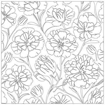 Carnation Flower illustration pattern outline sketch Stock Illustration