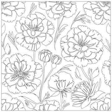 Carnation Flower illustration pattern outline sketch Stock Illustration