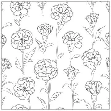 Carnation Flower illustration pattern outline sketch Stock Illustration