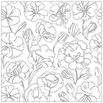 Carnation Flower illustration pattern outline sketch Illustrazione stock
