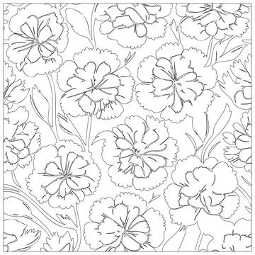 Carnation Flower illustration pattern outline sketch Stock Illustration