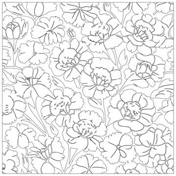 Carnation Flower illustration pattern outline sketch Stock Illustration