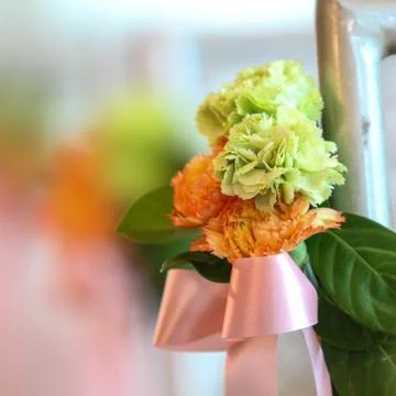Carnation flowers Stock Photos