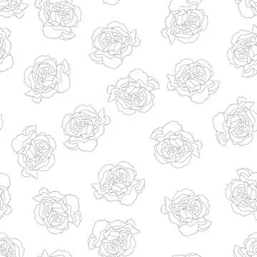 Carnation Outline Background Stock Illustration
