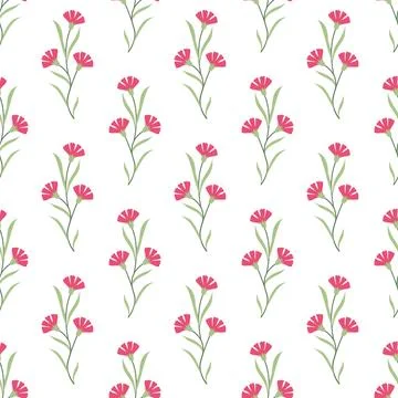 Carnation Seamless Pattern Vector Illustration in Flat Minimal Style, Pink Stock Illustration