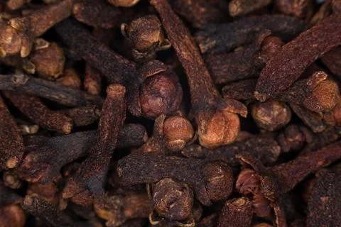 Carnation spice close up. Stock Photos