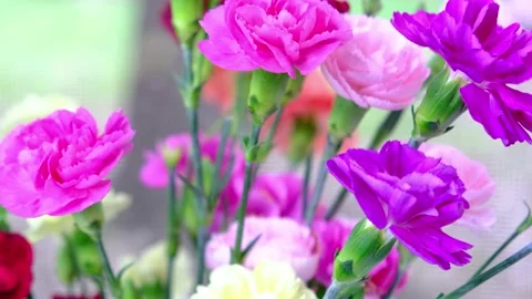 Carnations bouquet rotating Video stock 150285899