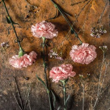 Carnations on the brown stone table square Stock Photos