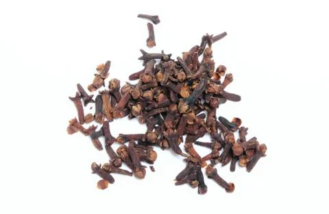 Carnations Stock Photos