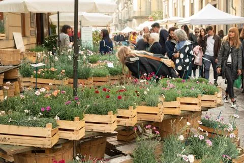 Carnations stall Stock Photos