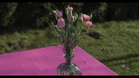 Carnations in a vase on a table in the yard during spring for an Easter cel.. Stock Footage 299401478