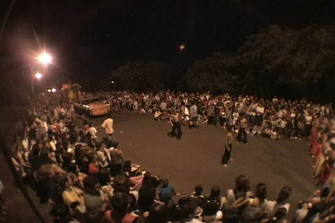 Carnaval/Carnival Video stock 633609