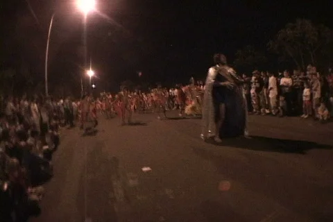 Carnaval/Carnival Video stock 633614