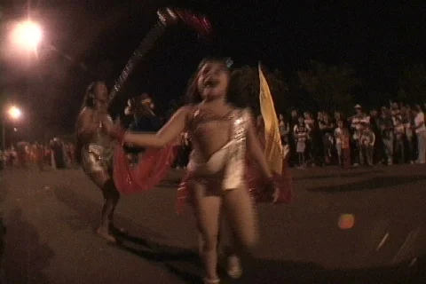 Carnaval/Carnival Video stock 633615