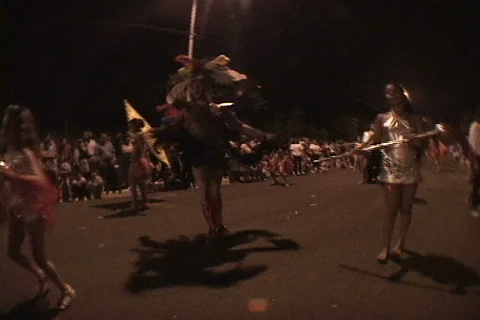 Carnaval/Carnival Video stock 633616
