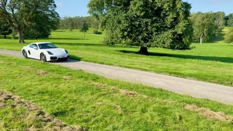 Carnforth, Lancaster, UK. 2025 AUG, 17. Leighton Hall, Porsche car show. Stock Footage 315004240