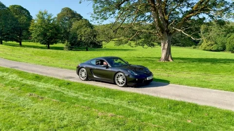 Carnforth, Lancaster, UK. 2025 AUG, 17. Leighton Hall, Porsche car show. Stock Footage 315004533