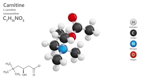Carnitine. Dietary supplement. 3D model. C7H15NO3. White background. 3D render 스톡 동영상 294699511