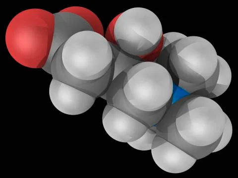 Carnitine molecule Stock Illustration