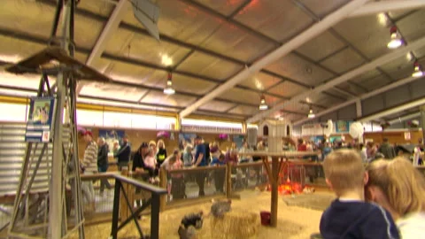 Carnival animals Video stock 280293061