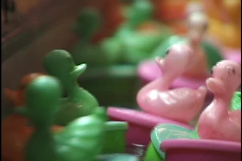 Carnival Ducks Stock Footage 296967