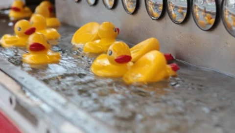 Carnival Ducks Stock Footage 8652363