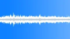 Carnival fair ambience 02 60 loop Sound Effect