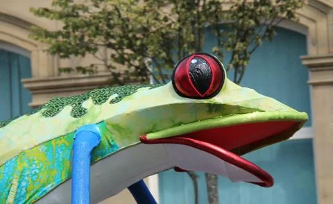 Carnival Frog. Stock Photos
