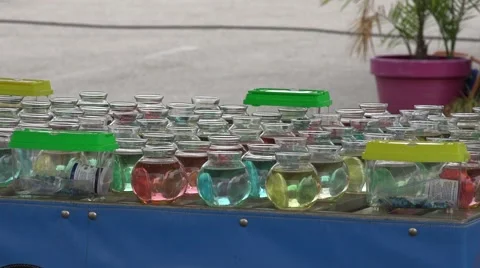 Carnival Game Bouncing Balls Into Colored Water Stock Footage 57337996