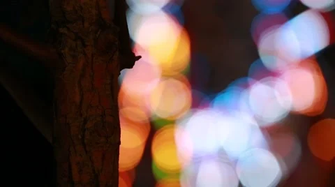 Carnival lights out of focus Video stock 43070713