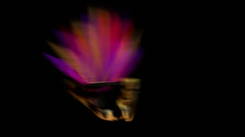 Carnival Masquerade Stock-Footage 102338005