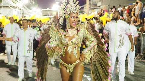 Carnival Parade in Rio de Janeiro, Brazil Stock Footage 102354366