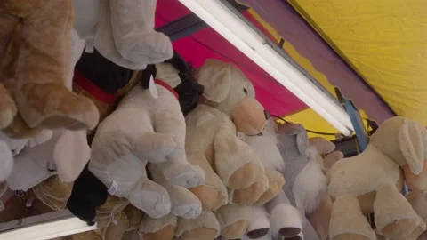 Carnival Prizes Stock Footage 204824989