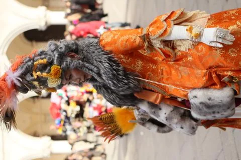 Carnival in Venice Stock Photos