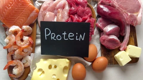 Carnivore Diet. Stock-Footage 336042476