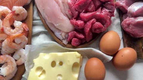 Carnivore Diet. Stock-Footage 336042477
