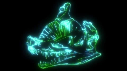 Carnivore dinosars skulls with frog 스톡 동영상 274937300