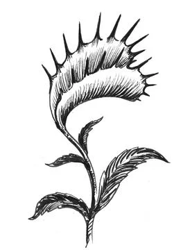 Carnivorous plant Stock Illustration