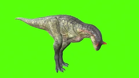 Carnotaurus Bite Green Screen Animation ... | Stock Video | Pond5