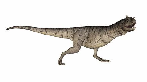 Carnotaurus dinosaur - 3D render Stock Illustration