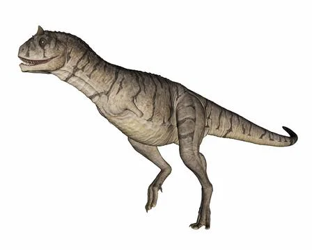 Carnotaurus dinosaur - 3D render Stock Illustration