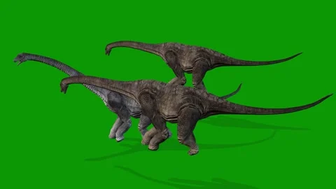 Carnotaurus Dinosaurs Walking Animation on Green Screen Vidéo 319932635